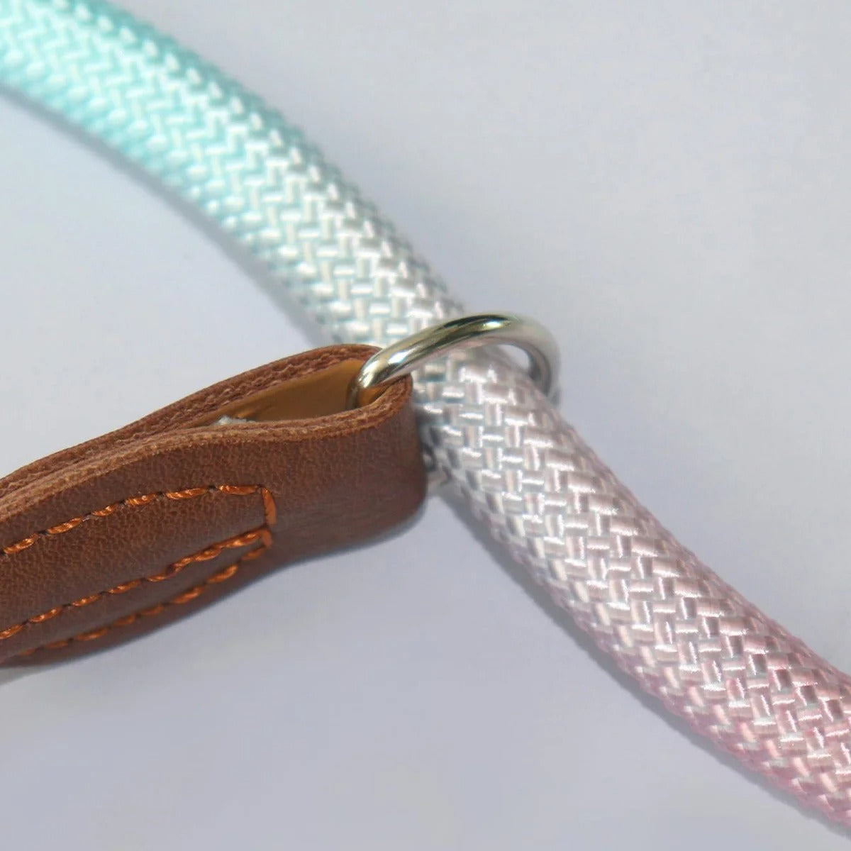 Vibrant Pet Leash for Fashionable Dog Walking
