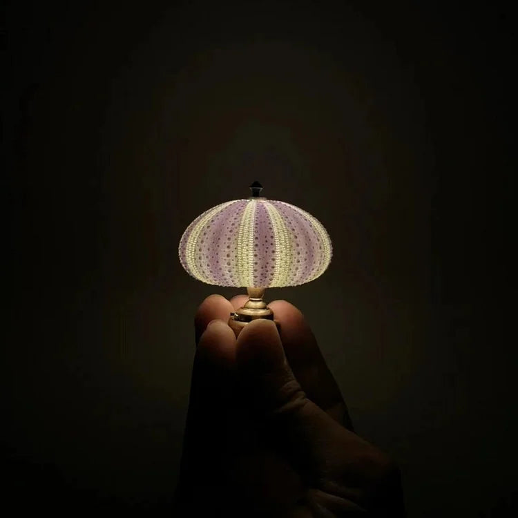 Rustic Coastal Table Lamp with Real Sea Shell Shade