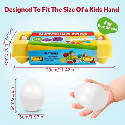 Fun Shape Sorting Puzzle Toy for Kids