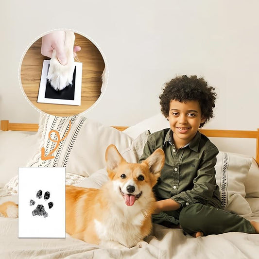 Easy Pet Paw Print Art Kit - Fesara