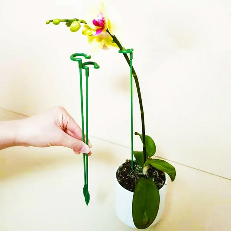 Garden Plant Sturdy Support Sticks (10 Pack) - Fesara