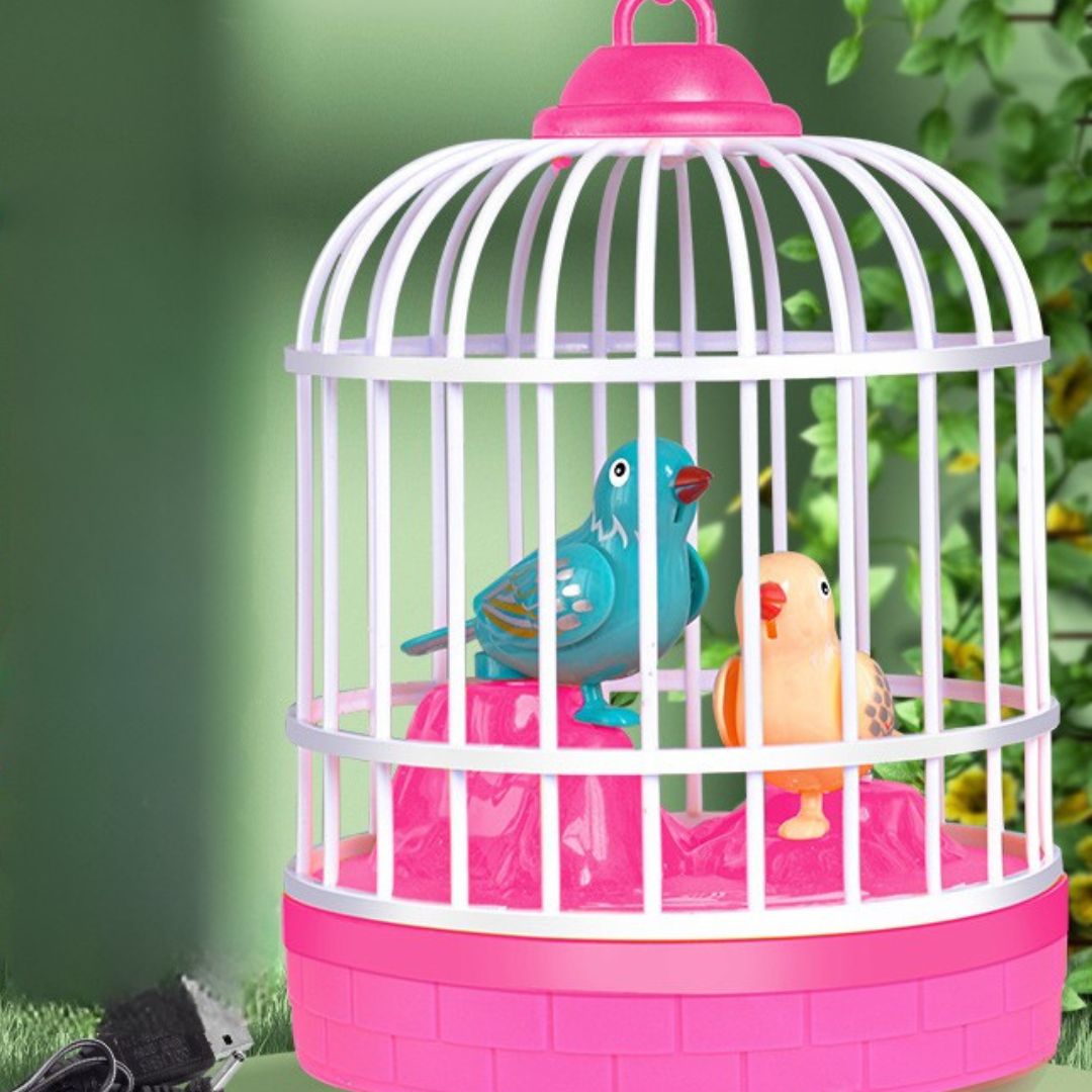 Colorful Bird Sound Toy for Kids