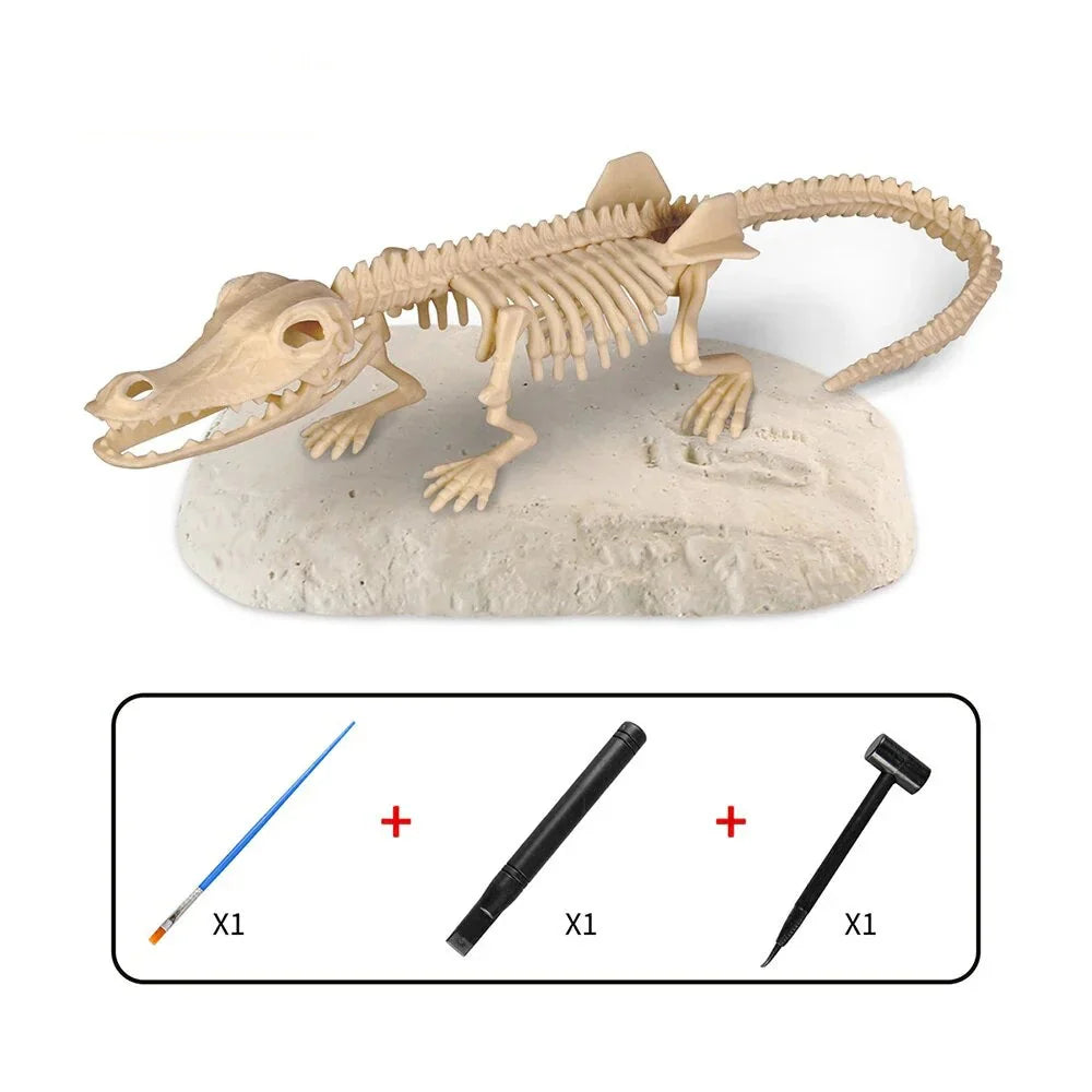 Dino Excavation Kit - Dig and Discover Fossils Set