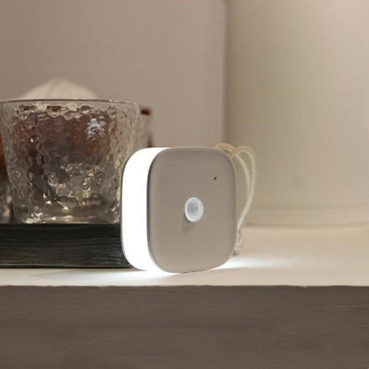 Wireless Battery Motion Sensor LED Wall Light