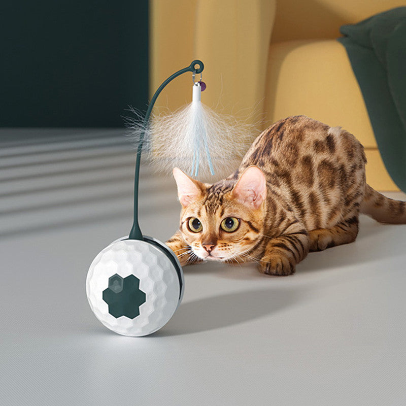 Interactive Playful Kitten Toy