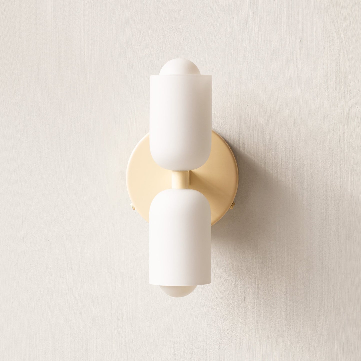 Contemporary LED Wall Lamp with Adjustable Dual Light
