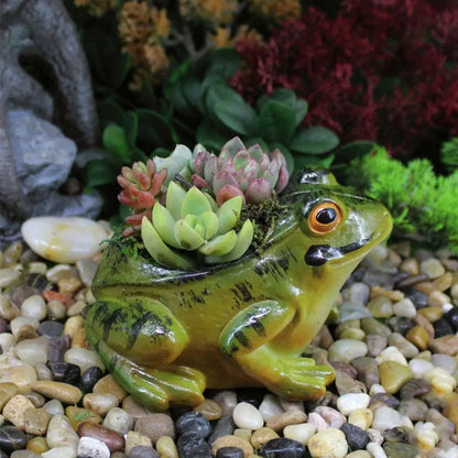 Fun Mini Indoor Planter Pot