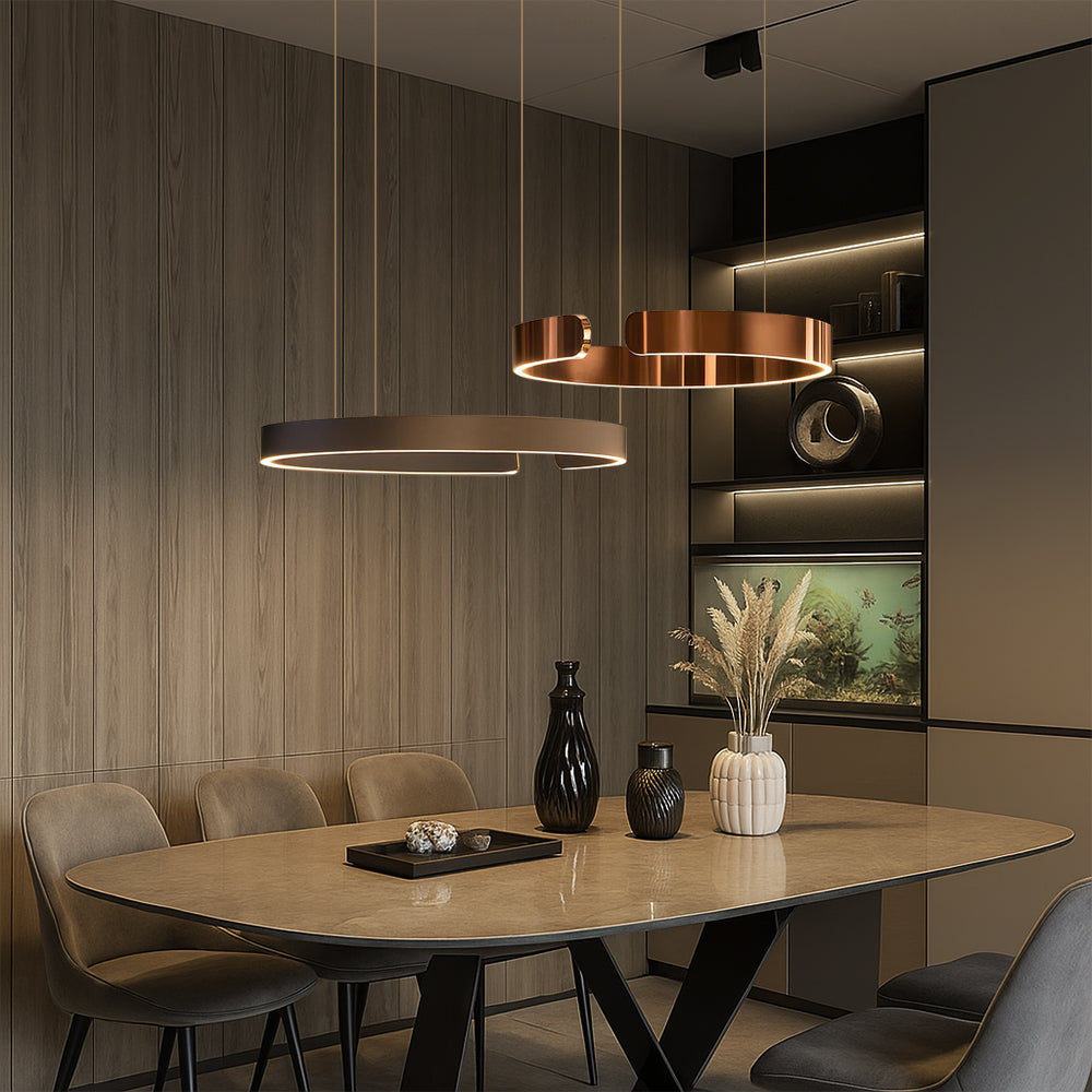 Aesthetics Ring Pendant Lamp 6