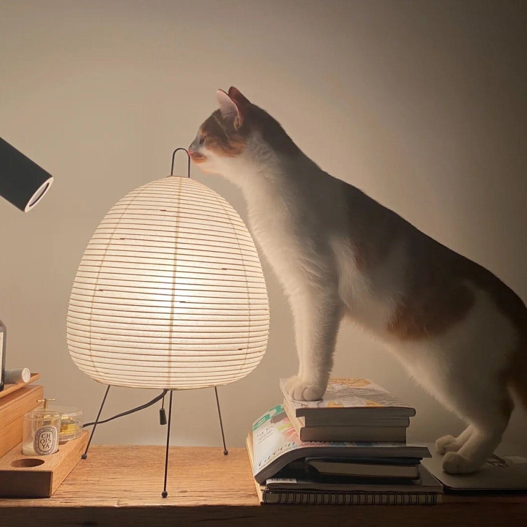 Calming Asian Style Table Lamp