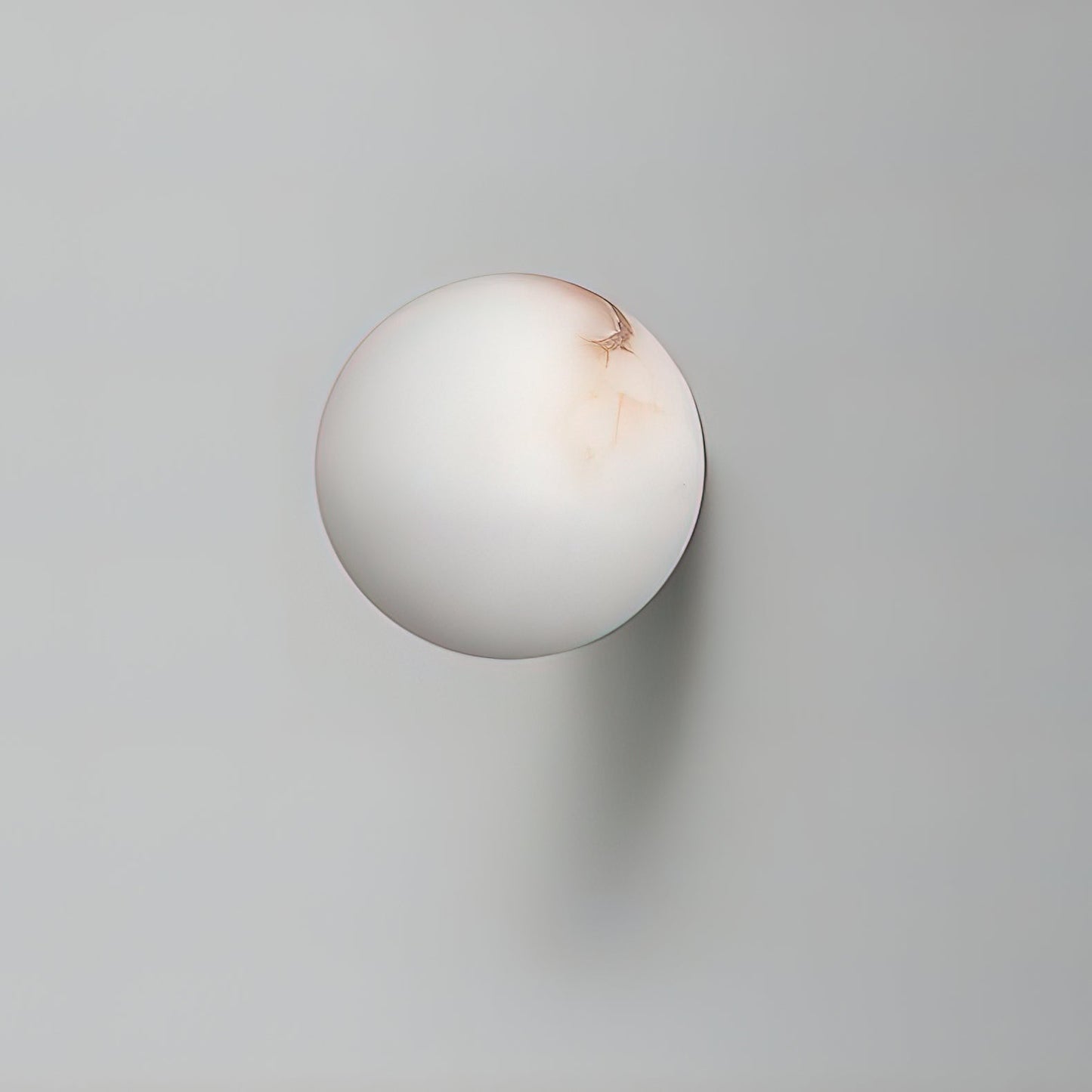 White Round LED Wall Light Fixture