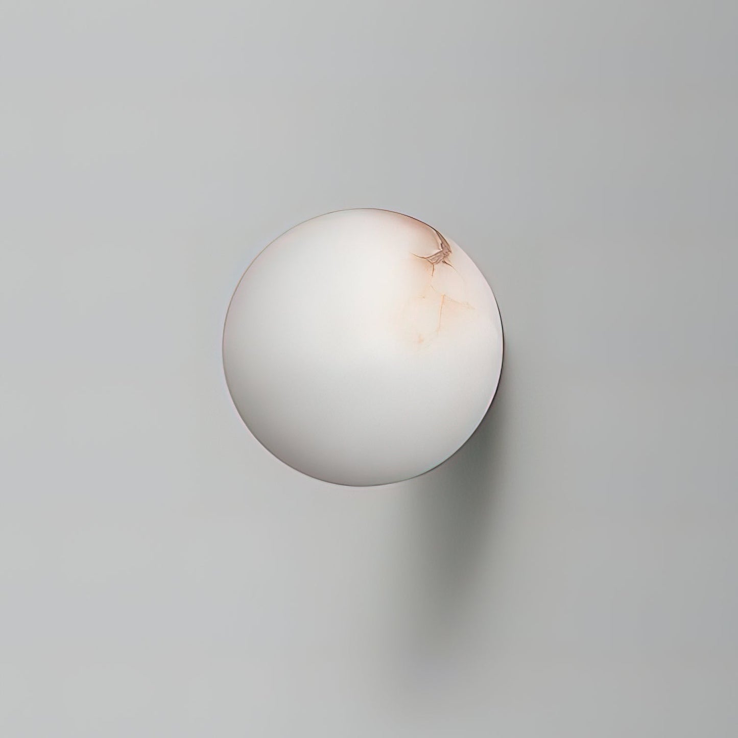 White Round LED Wall Light Fixture