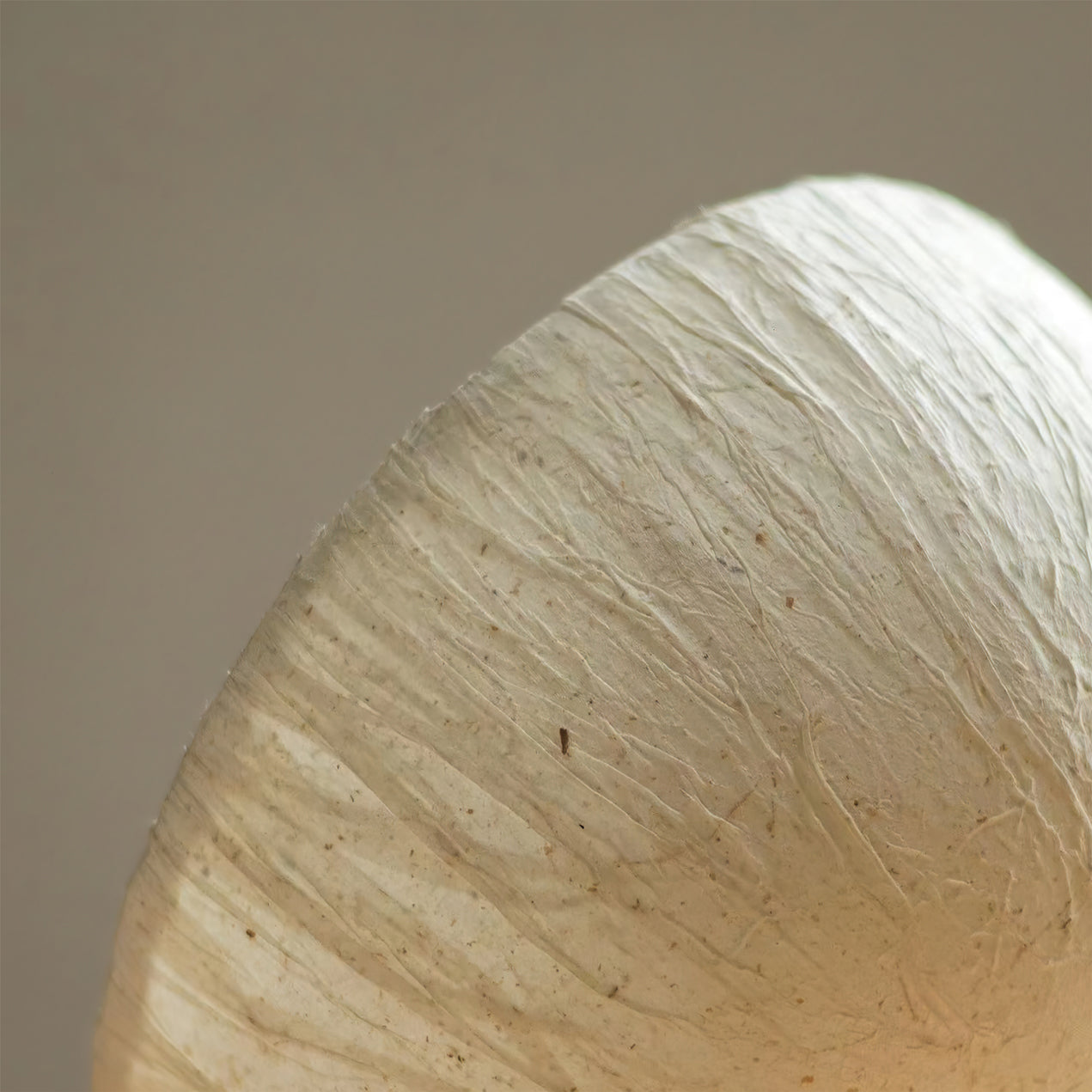 Fun Desk Lamp with Soft Warm Glow