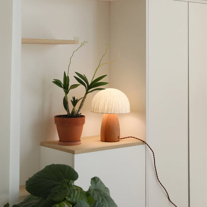 Fun Desk Lamp with Soft Warm Glow