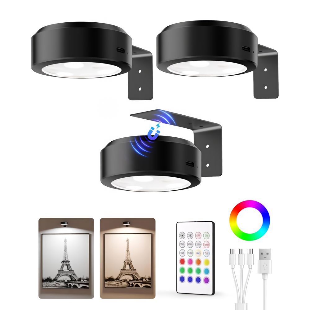 Bright LED Picture Light with Rechargeable Battery