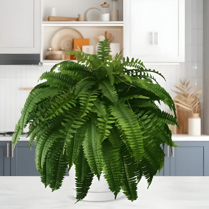 Realistic Green Boston Fern Indoor Plant Decoration