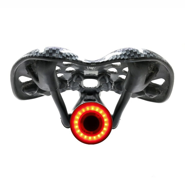 Bright LED Bike Rear Safety Light for Night Riding - Fesara