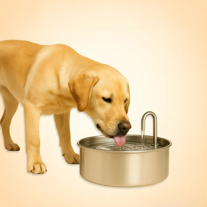 Easy Clean Automatic Pet Water Fountain Bowl - Fesara