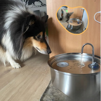 Easy Clean Automatic Pet Water Fountain Bowl