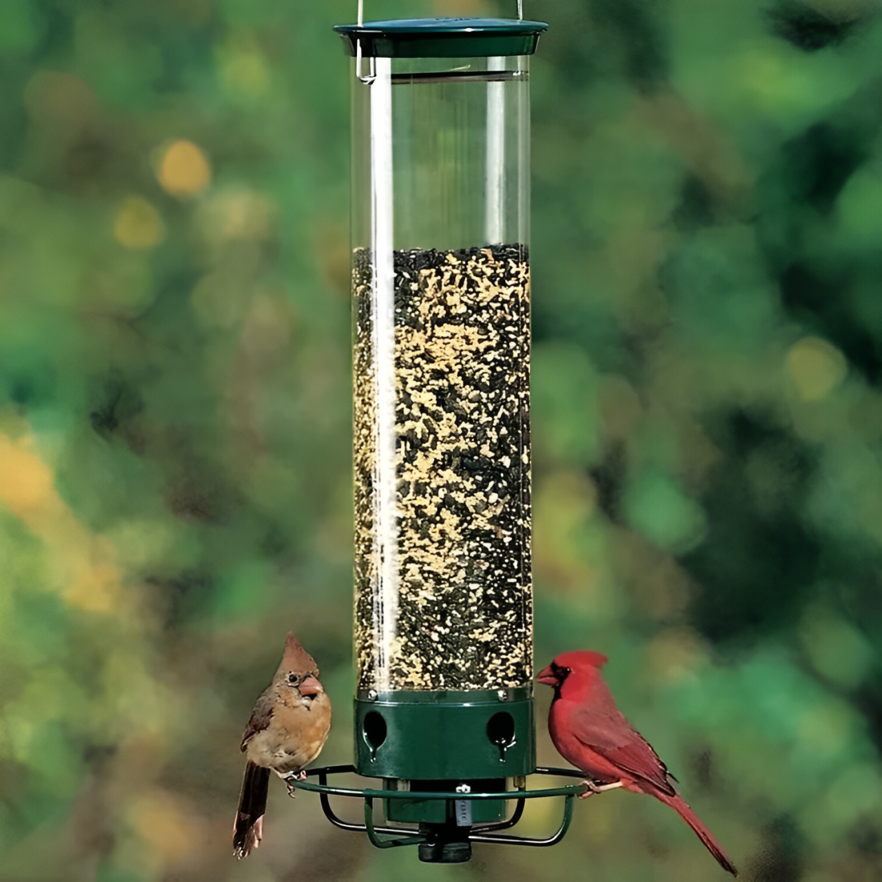 Strong Squirrel Resistant Bird Feeder Hanging - Fesara