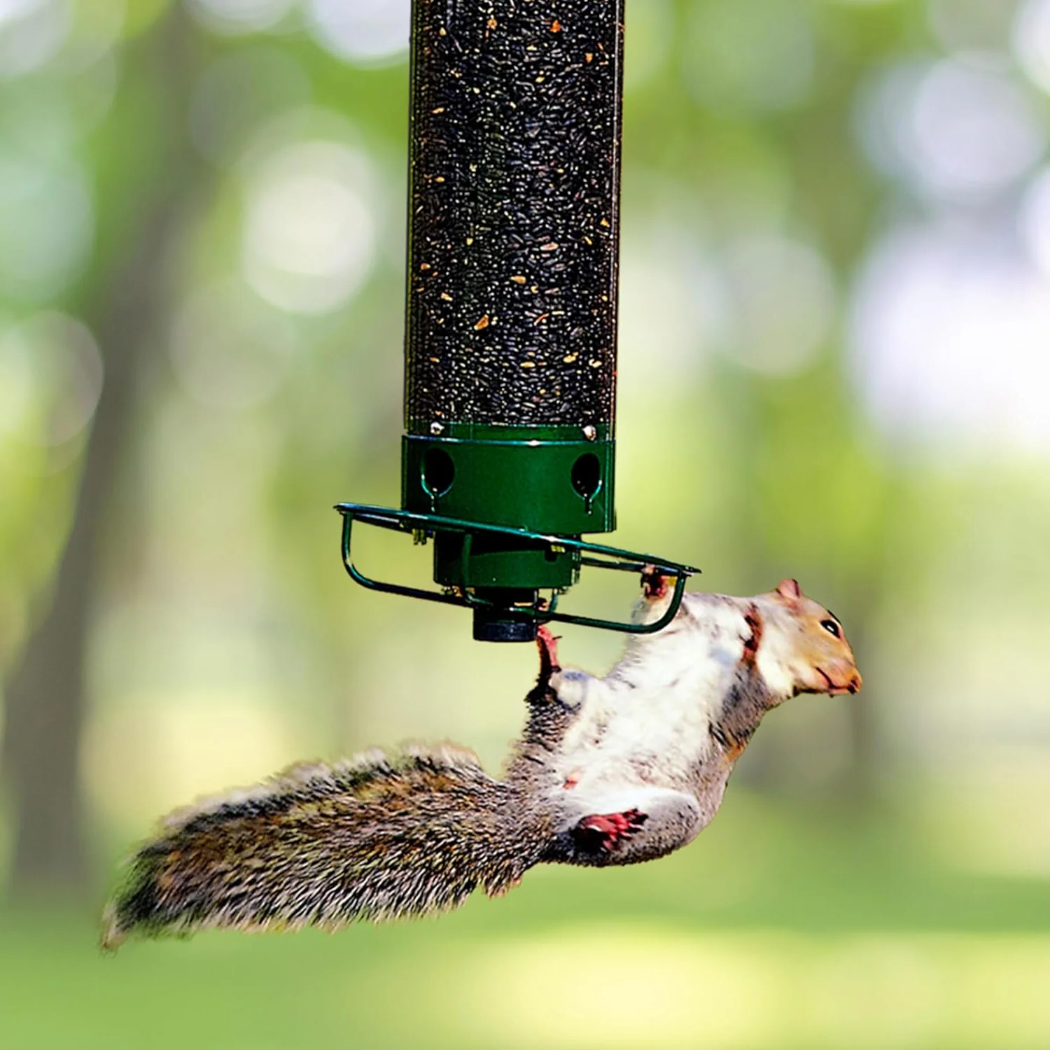 Durable Squirrel Resistant Metal Bird House - Fesara