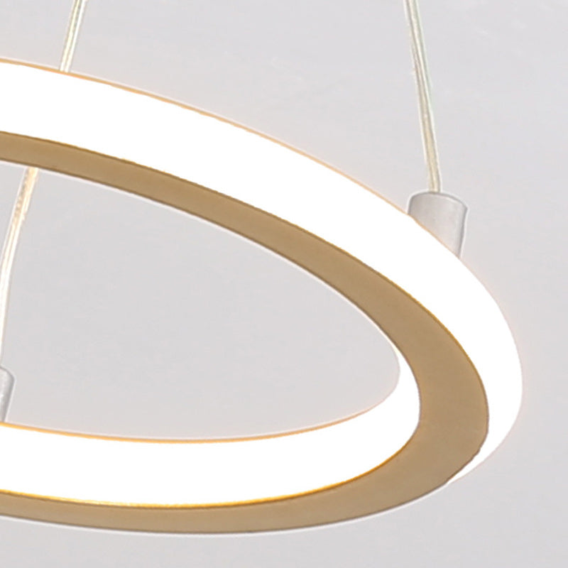 Modern Round Metal LED Ceiling Light Fixture
