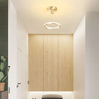 Modern Round Metal LED Ceiling Light Fixture