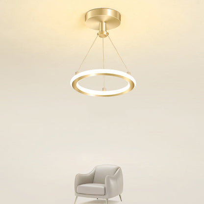 Modern Round Metal LED Ceiling Light Fixture