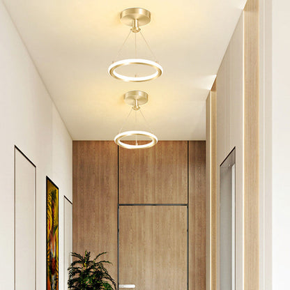 Modern Round Metal LED Ceiling Light Fixture