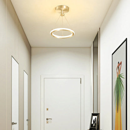 Modern Round Metal LED Ceiling Light Fixture