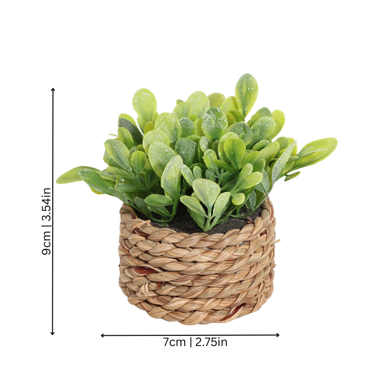 Elegant Green Fesara Verdurelle