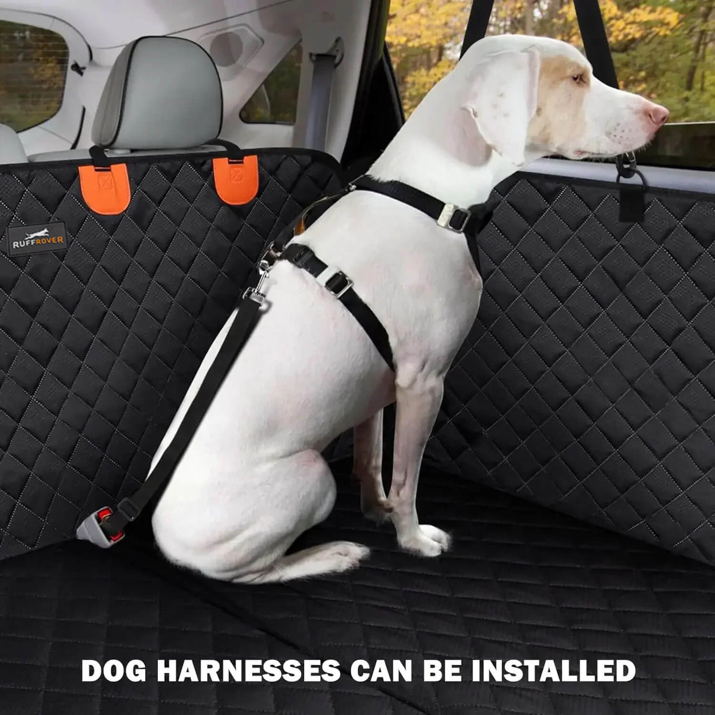 Portable Pet Bench for Easy Travel