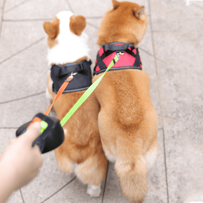 Comfortable Dual Dog Leash with Anti Tangle Clip