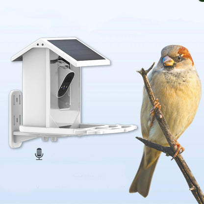 Wireless Solar Bird Feeder with Camera - Waterproof Outdoor Feeder