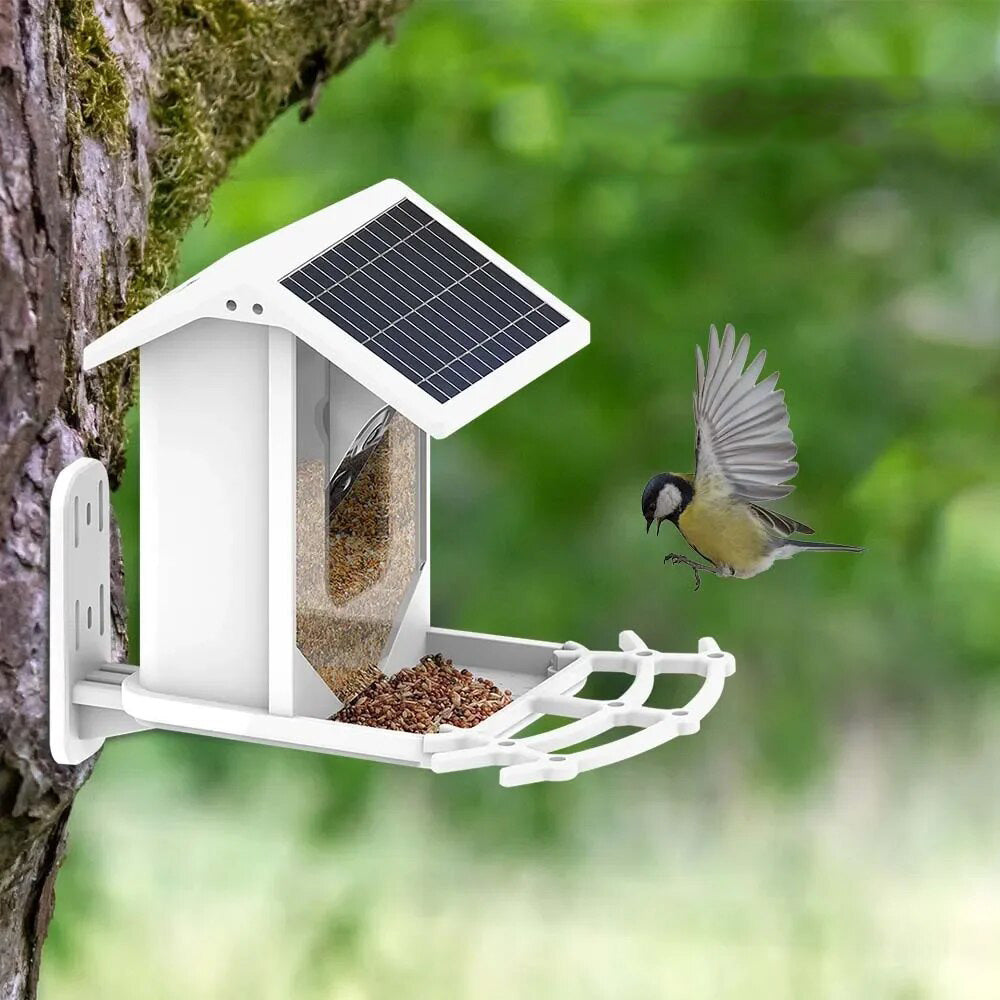 Wireless Solar Bird Feeder with Camera - Waterproof Outdoor Feeder