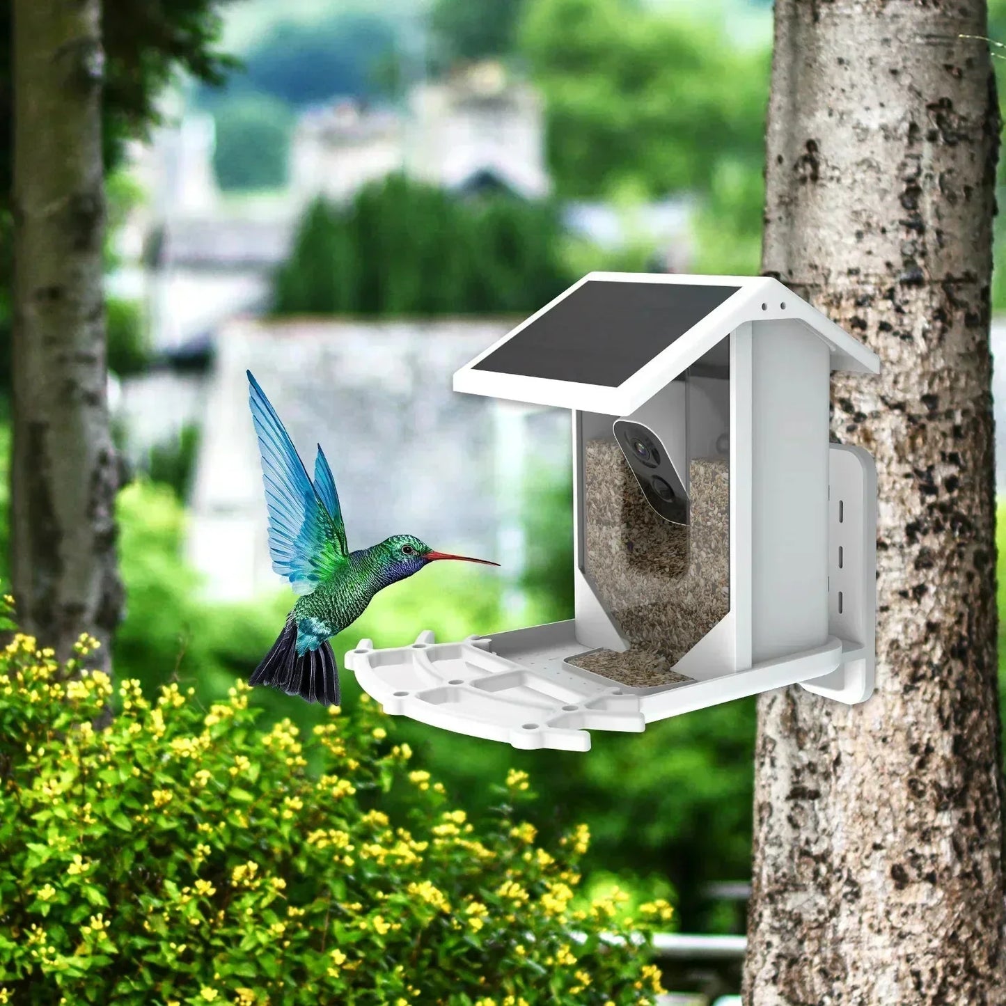 Wireless Solar Bird Feeder with Camera - Waterproof Outdoor Feeder