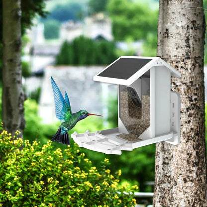 Wireless Solar Bird Feeder with Camera - Waterproof Outdoor Feeder