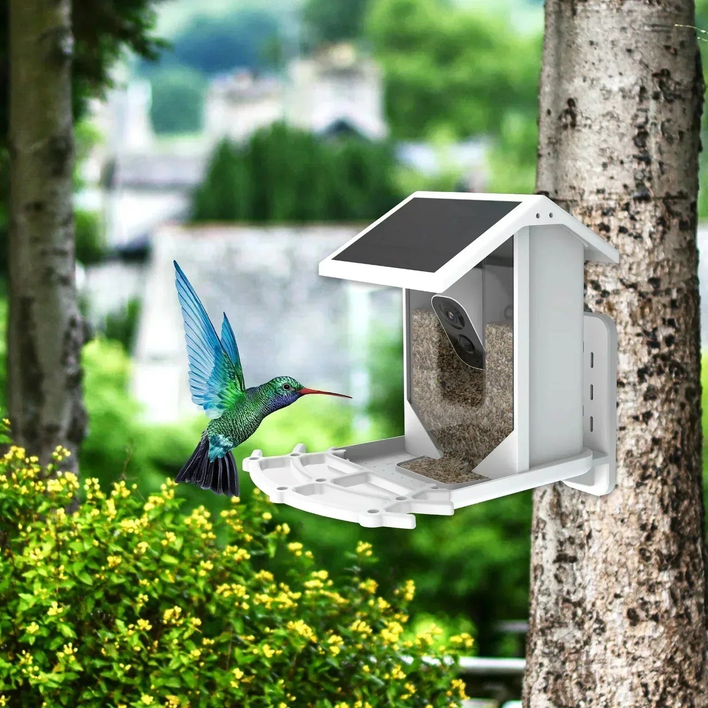 Intelligent Solar Bird Feeder with Camera - Waterproof Yard Feeder