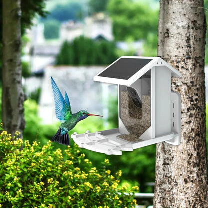 Intelligent Solar Bird Feeder with Camera - Waterproof Yard Feeder