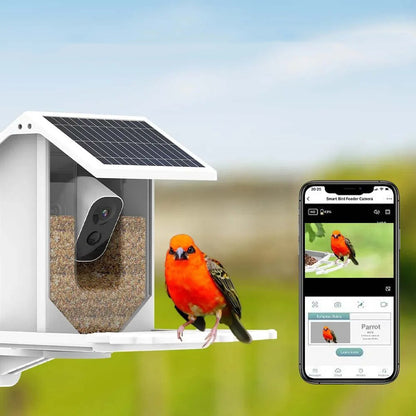 Wireless Solar Bird Feeder with Camera - Waterproof Outdoor Feeder - Fesara