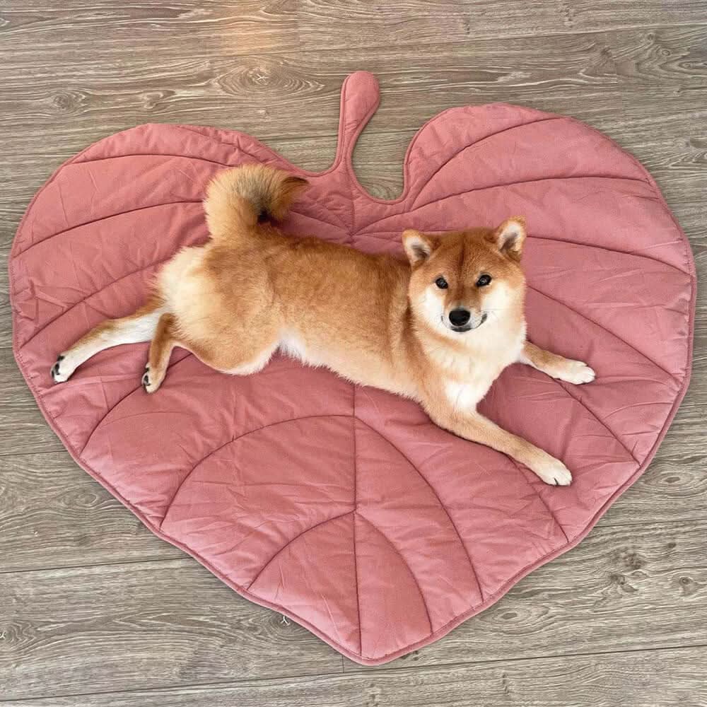 Soft Leaf Shaped Dog Blanket
