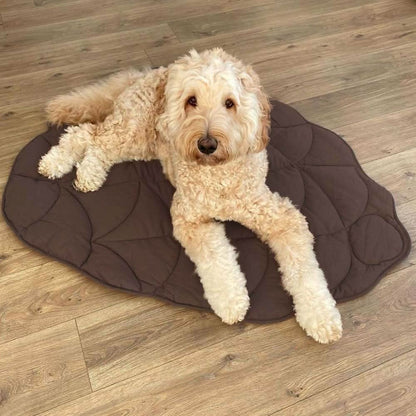 Soft Leaf Shaped Dog Blanket