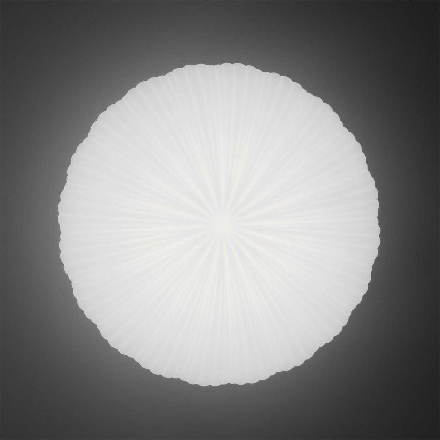 Elegant Modern Ceiling Lighting