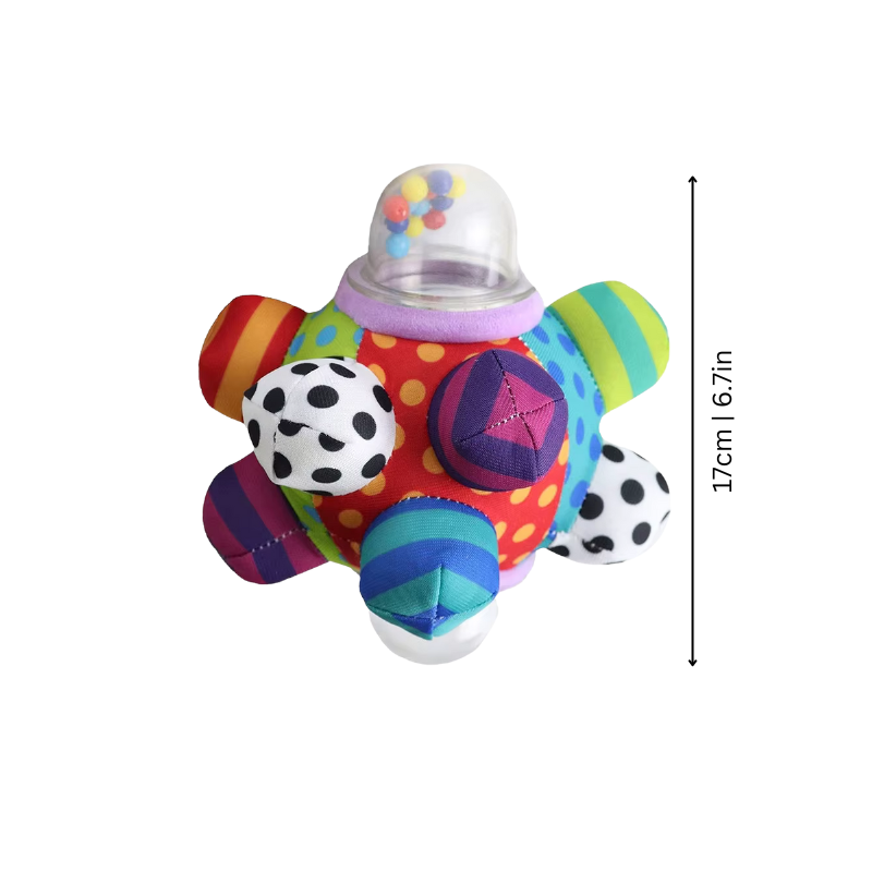 Sensory Fidget Ball Toy