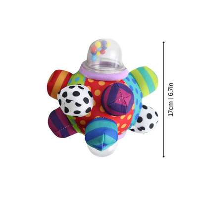 Sensory Fidget Ball Toy
