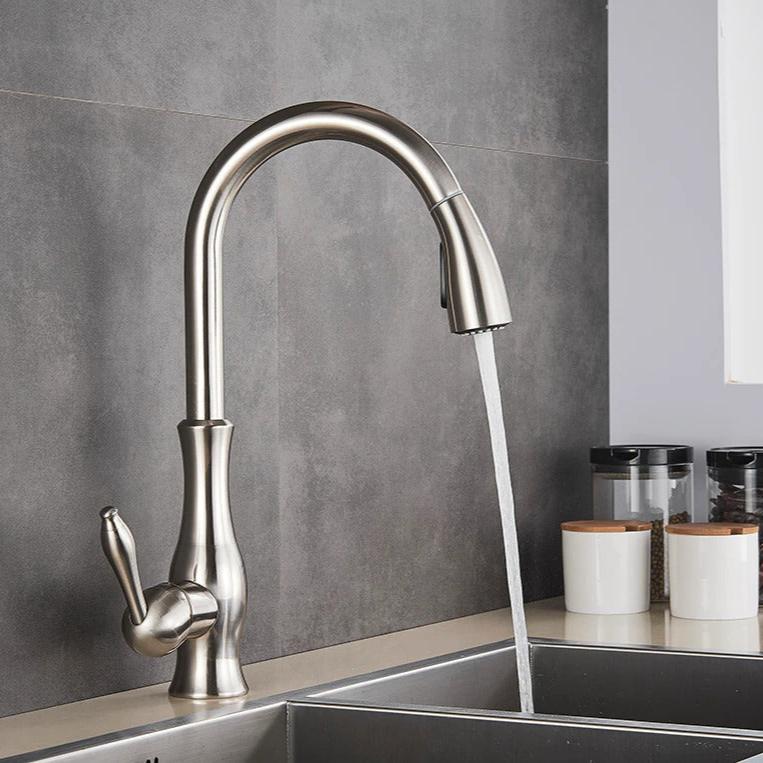 Flexible Long Reach Kitchen Faucet - Fesara
