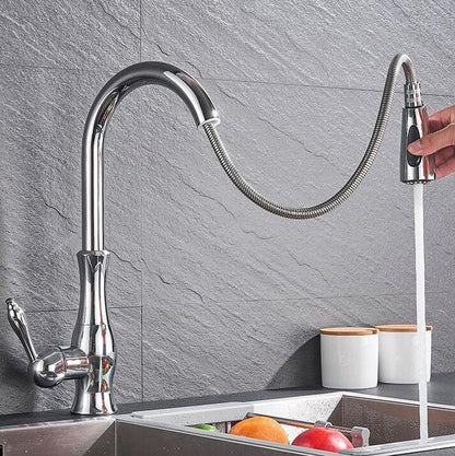 Flexible Long Reach Kitchen Faucet