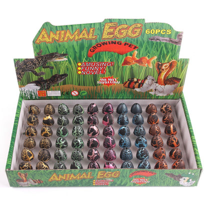 Colorful Dino Eggs Growing Water Toys