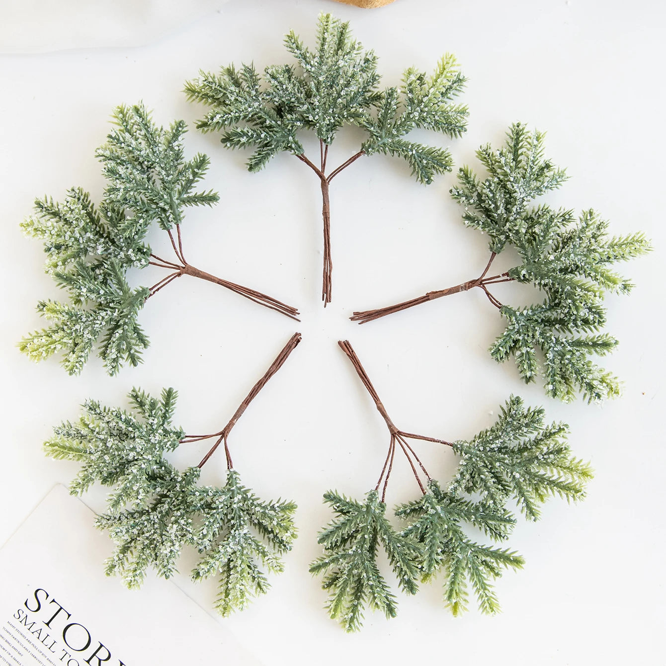 Cactus Charm | Luxury Green Leaves Decoration 1