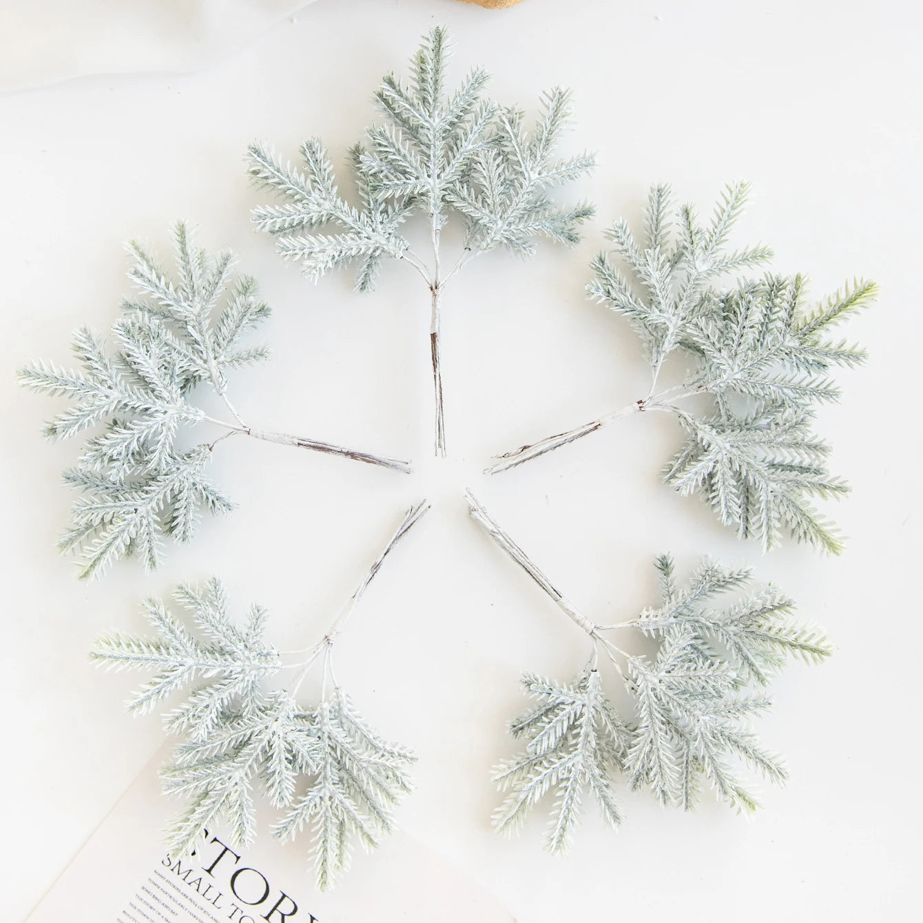 Cactus Charm | Luxury Green Leaves Decoration 4