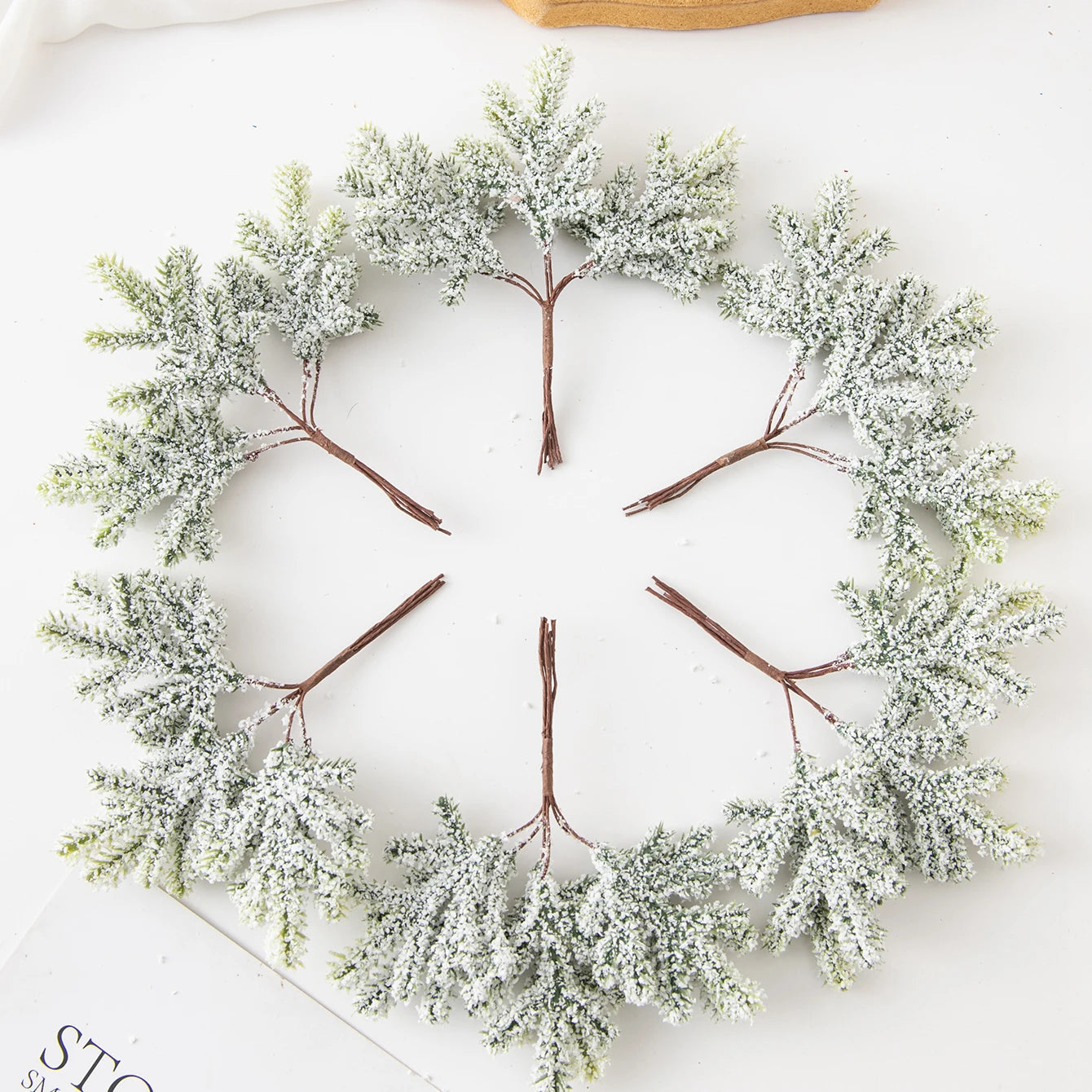 Cactus Charm | Luxury Green Leaves Decoration 6